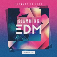 Slamming EDM Hits and Loops