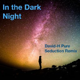 In The Dark Night (Pure Seduction Remix)